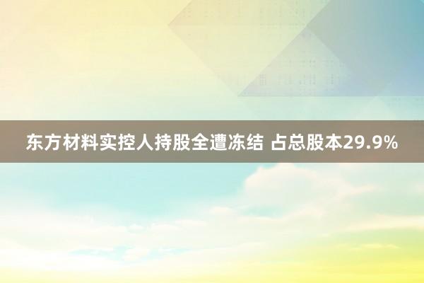 东方材料实控人持股全遭冻结 占总股本29.9%