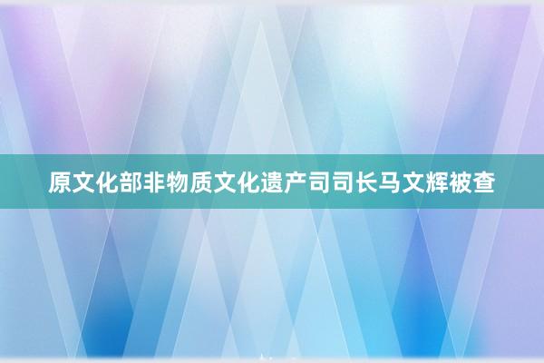 原文化部非物质文化遗产司司长马文辉被查