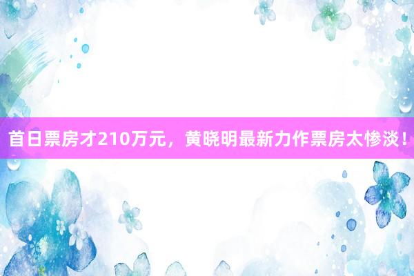 首日票房才210万元，黄晓明最新力作票房太惨淡！