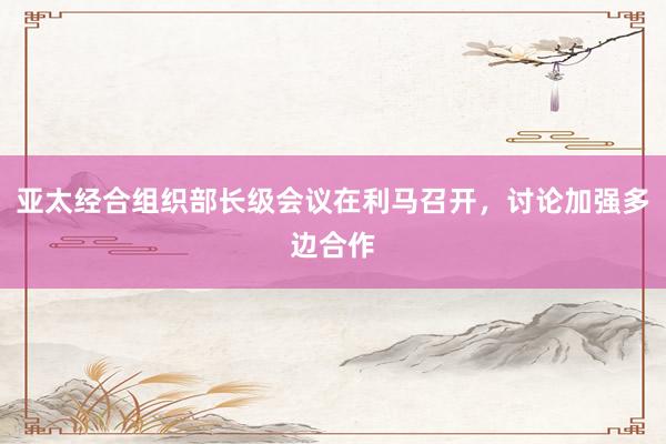 亚太经合组织部长级会议在利马召开，讨论加强多边合作