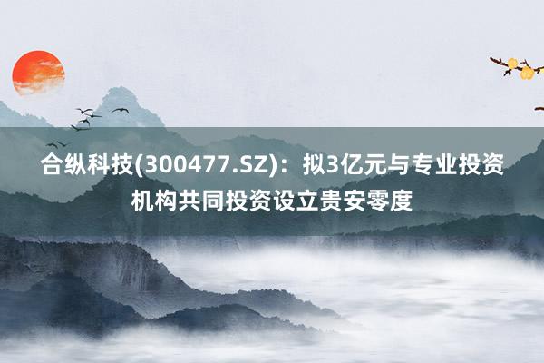 合纵科技(300477.SZ)：拟3亿元与专业投资机构共同投资设立贵安零度