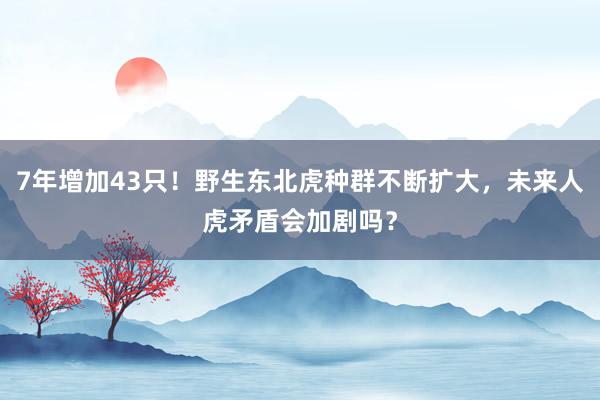 7年增加43只！野生东北虎种群不断扩大，未来人虎矛盾会加剧吗？