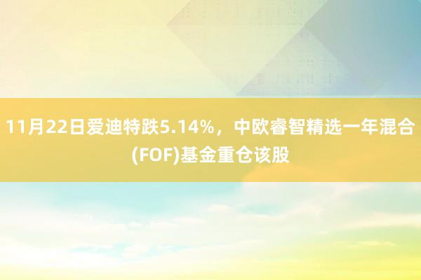 11月22日爱迪特跌5.14%，中欧睿智精选一年混合(FOF)基金重仓该股