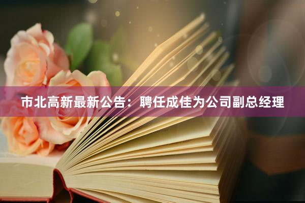 市北高新最新公告：聘任成佳为公司副总经理