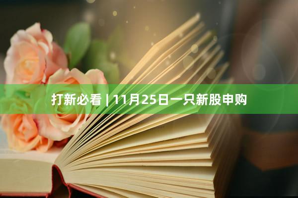 打新必看 | 11月25日一只新股申购