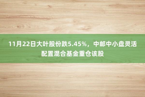 11月22日大叶股份跌5.45%，中邮中小盘灵活配置混合基金重仓该股