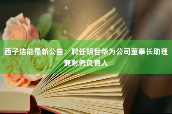 西子洁能最新公告：聘任胡世华为公司董事长助理兼财务负责人