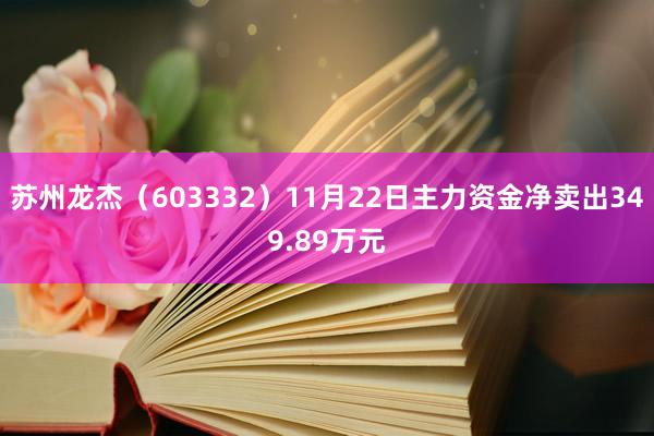 苏州龙杰（603332）11月22日主力资金净卖出349.89万元