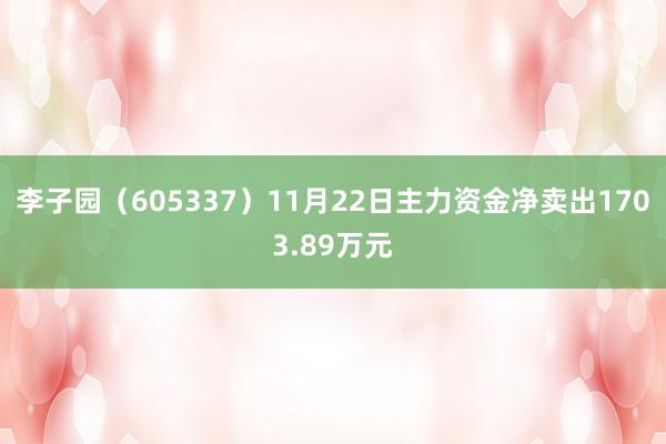 李子园（605337）11月22日主力资金净卖出1703.89万元