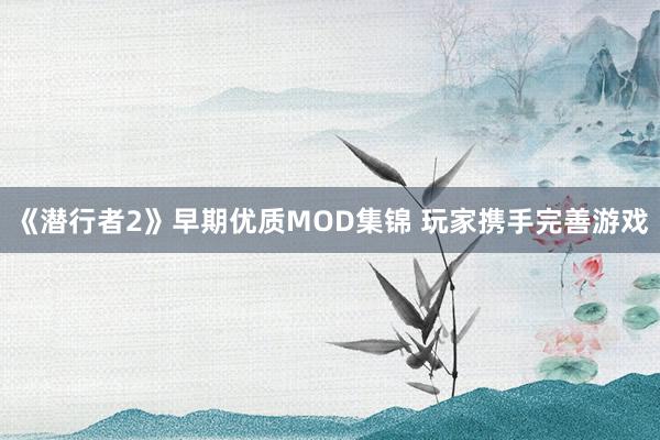 《潜行者2》早期优质MOD集锦 玩家携手完善游戏