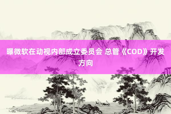 曝微软在动视内部成立委员会 总管《COD》开发方向