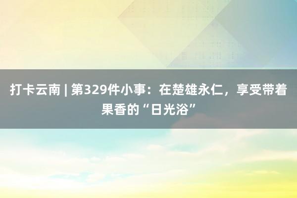 打卡云南 | 第329件小事：在楚雄永仁，享受带着果香的“日光浴”