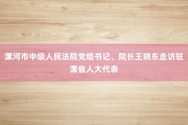 漯河市中级人民法院党组书记、院长王晓东走访驻漯省人大代表