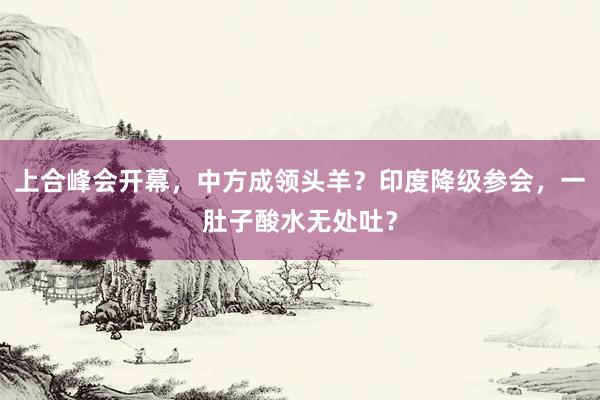 上合峰会开幕，中方成领头羊？印度降级参会，一肚子酸水无处吐？