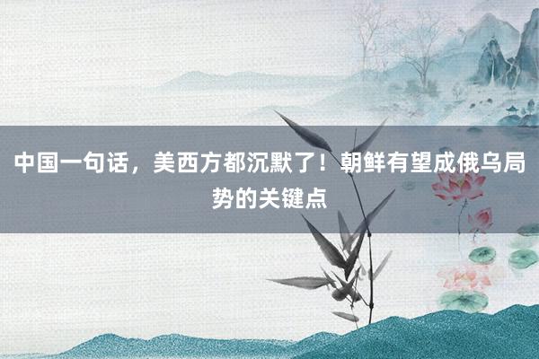 中国一句话，美西方都沉默了！朝鲜有望成俄乌局势的关键点