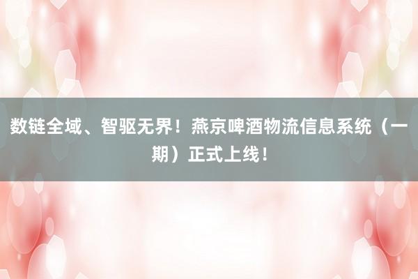 数链全域、智驱无界！燕京啤酒物流信息系统（一期）正式上线！