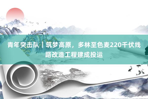 青年突击队｜筑梦高原，多林至色麦220千伏线路改造工程建成投运