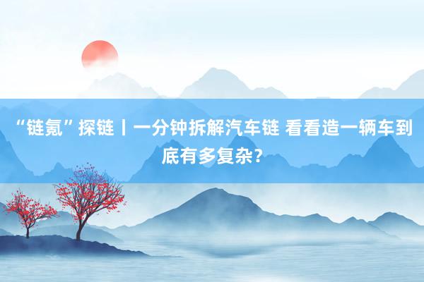 “链氪”探链丨一分钟拆解汽车链 看看造一辆车到底有多复杂？